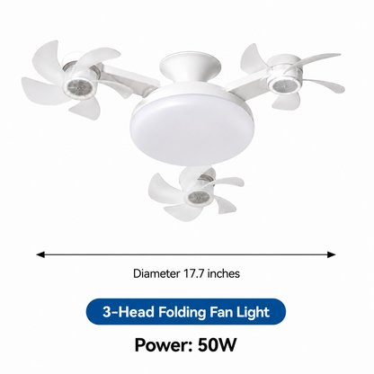 Evermont- 2-in-1 Whisper Breeze Ceiling Fan Light