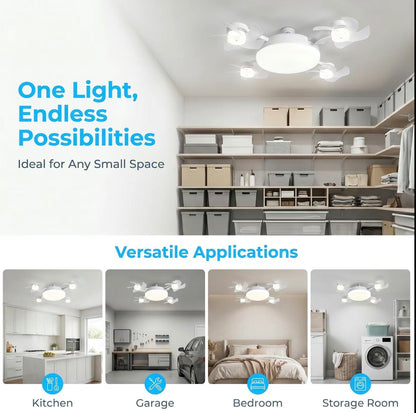 Evermont- 2-in-1 Whisper Breeze Ceiling Fan Light