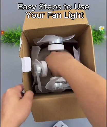 Evermont- 2-in-1 Whisper Breeze Ceiling Fan Light